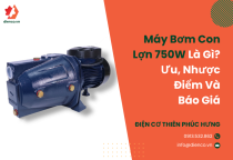 Máy Bơm Con Lợn 750W là gì? Ưu, nhược điểm và báo giá Máy Bơm Con Lợn 750W là gì? Ưu, nhược điểm và báo giá