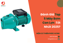 Máy Bơm Con Lợn Loại Nào Tốt Nhất 2025? Đánh Giá Top 5 Thương Hiệu Hàng Đầu Máy Bơm Con Lợn Loại Nào Tốt Nhất 2025? Đánh Giá Top 5 Thương Hiệu Hàng Đầu