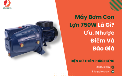 Máy Bơm Con Lợn 750W là gì? Ưu, nhược điểm và báo giá