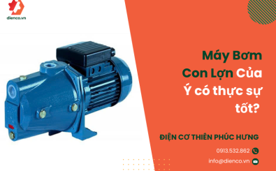 Máy Bơm Con Lợn Của Ý có thực sự tốt? Phân tích chất lượng và ưu điểm vượt trội