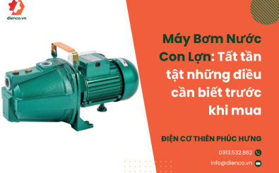 Máy Bơm Nước Con Lợn: Tất tần tật những điều cần biết trước khi mua