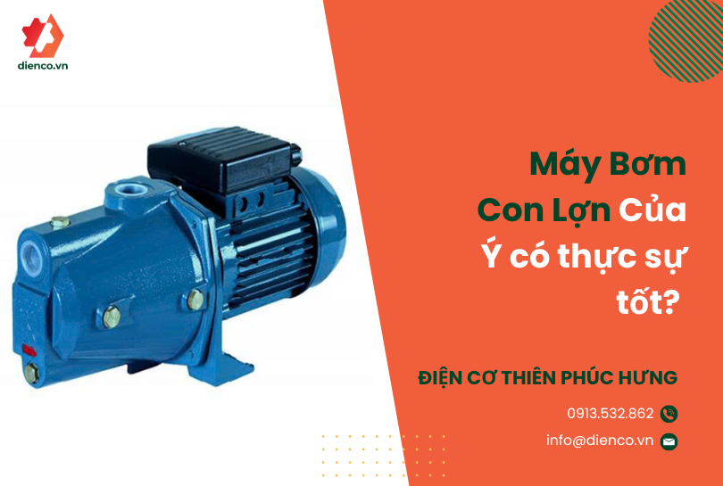 Máy Bơm Con Lợn Của Ý có thực sự tốt? Phân tích chất lượng và ưu điểm vượt trội