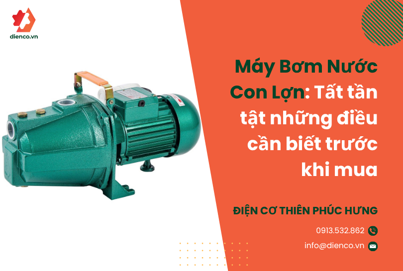 Máy Bơm Nước Con Lợn: Tất tần tật những điều cần biết trước khi mua