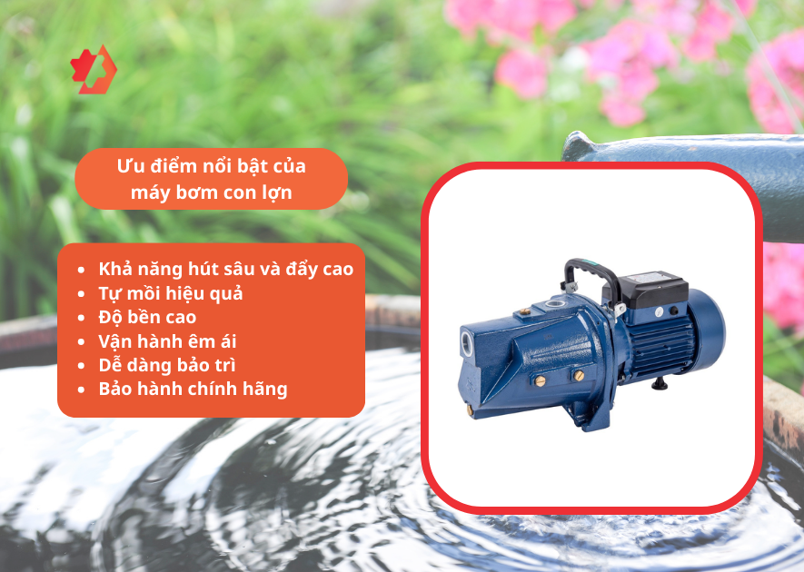 máy bơm con lợn của ý