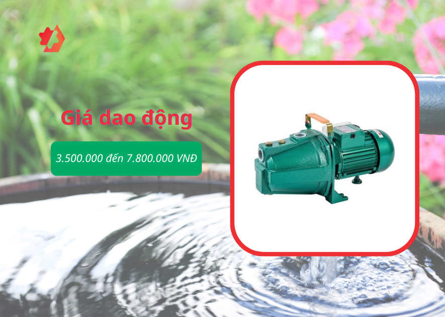 máy bơm con lợn của ý