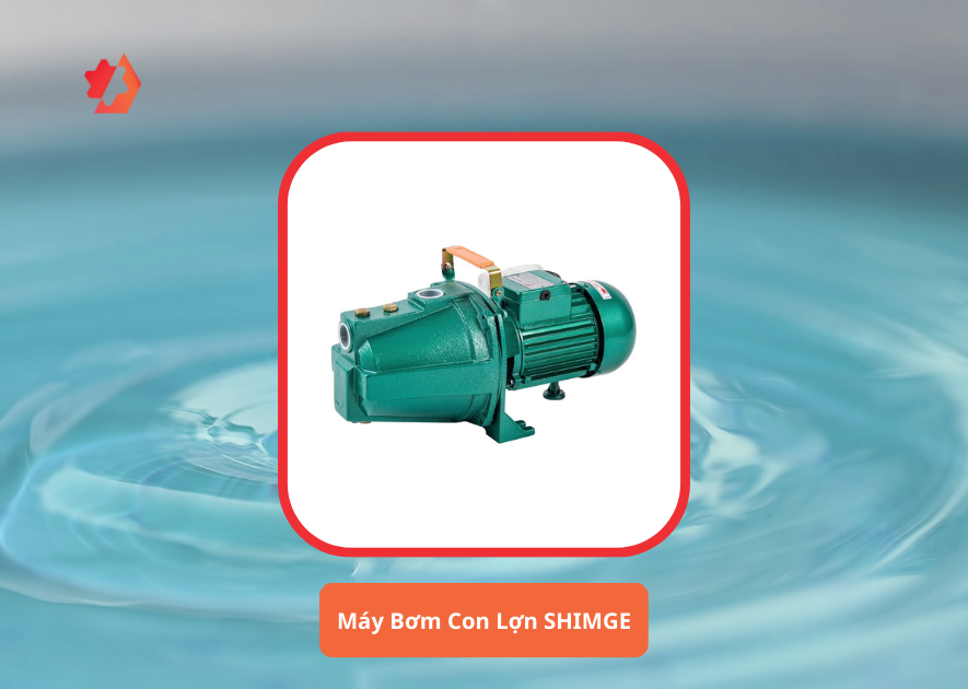máy bơm con lợn loại nào tốt