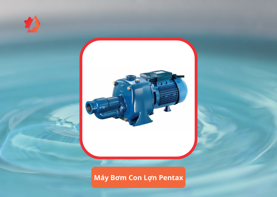 máy bơm con lợn loại nào tốt