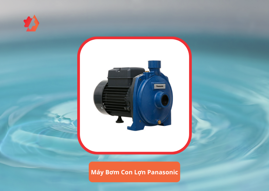 máy bơm con lợn loại nào tốt