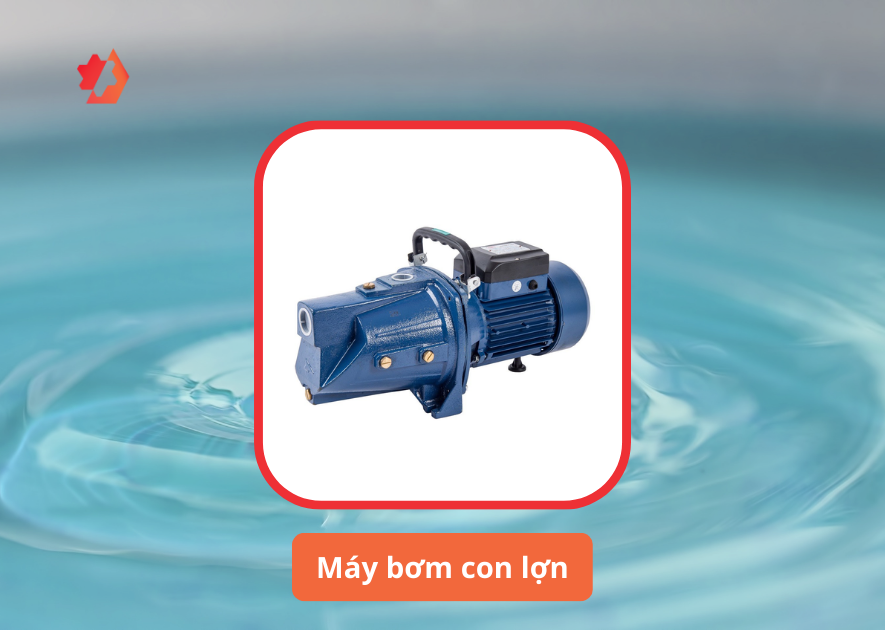 máy bơm con lợn loại nào tốt