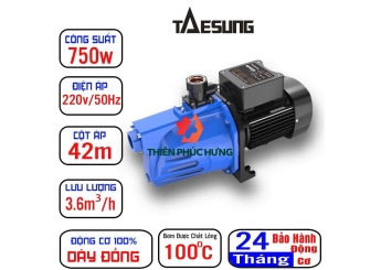 Máy bơm nước chân không đầu JET thông minh TAESUNG. Model: TSJ- 750