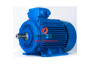 Động cơ xoay chiều 3 pha TRANSMAX BRANCO