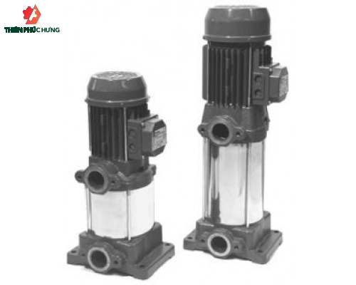 Máy bơm ly tâm trục đứng EBARA CVM